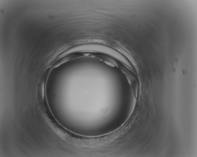 X0000081490013200701121522