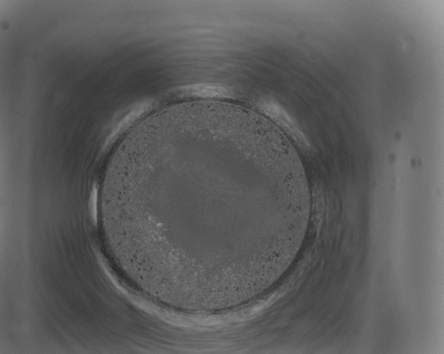 X0000081490014200701121521