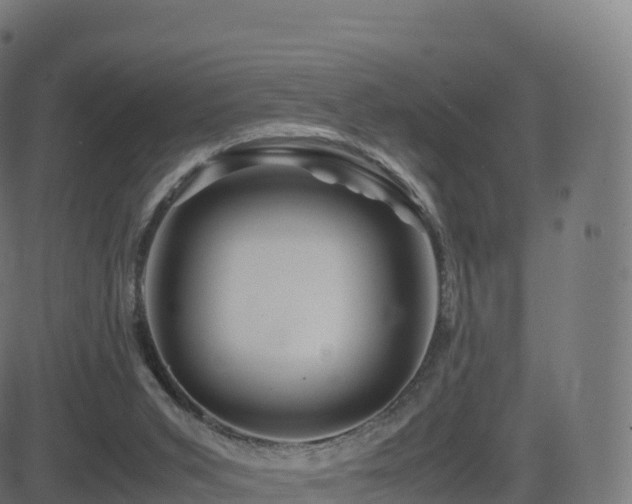 X0000081490015200701121521