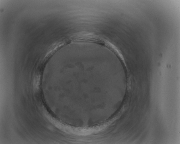 X0000081490018200701121521