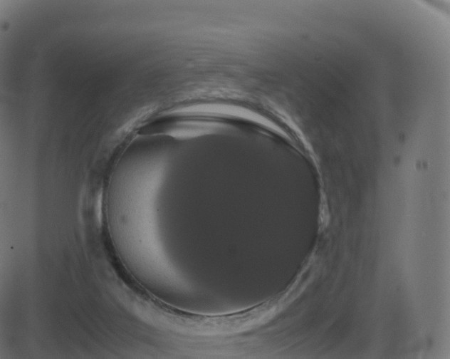 X0000081490019200701121521