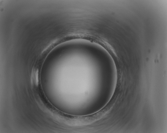 X0000081490020200701121521