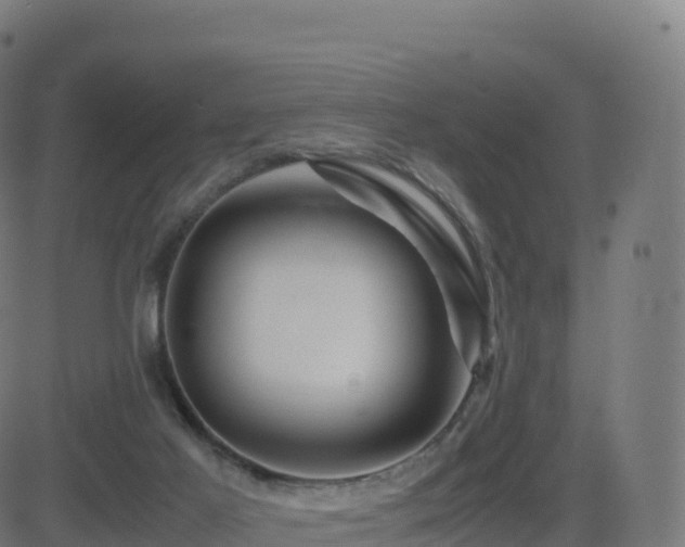 X0000081490021200701121521