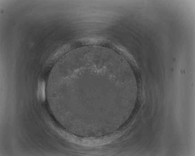 X0000081490022200701121521