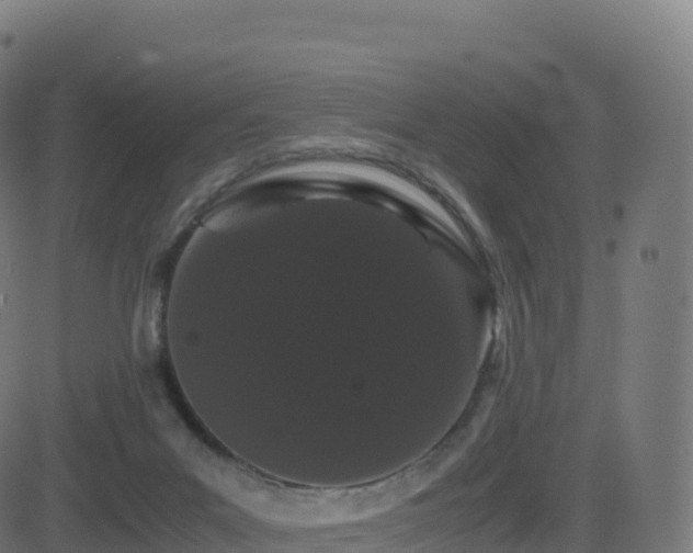 X0000081490023200701121521