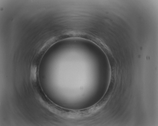 X0000081490024200701121521