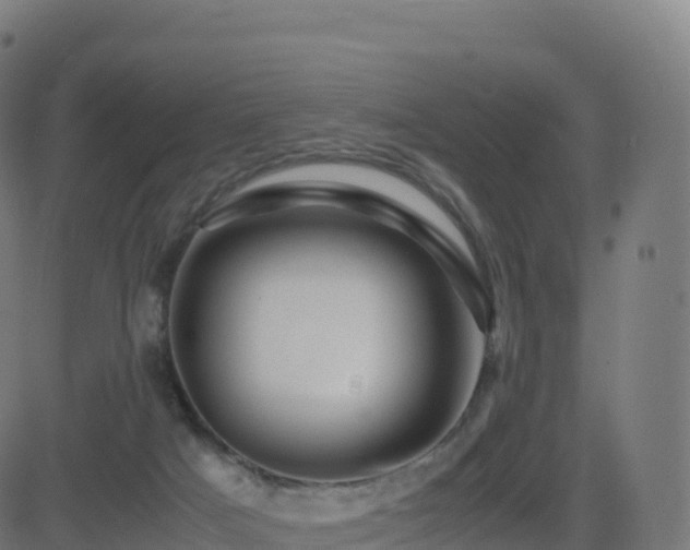 X0000081490025200701121521