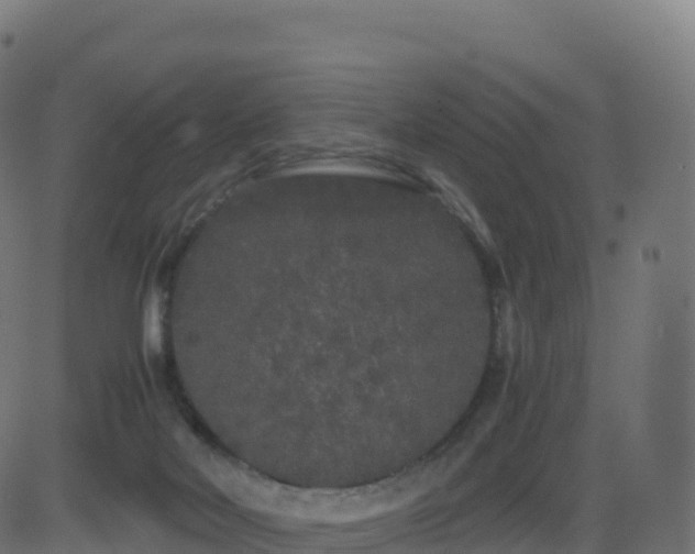 X0000081490026200701121521