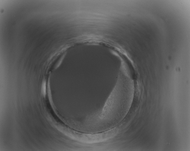 X0000081490027200701121521