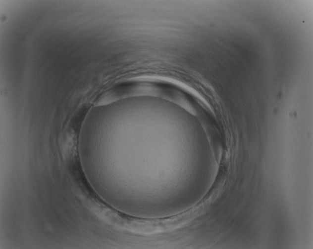 X0000081490029200701121521