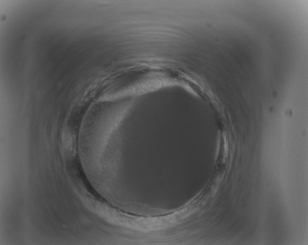 X0000081490031200701121521