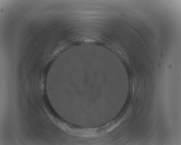 X0000081490032200701121521