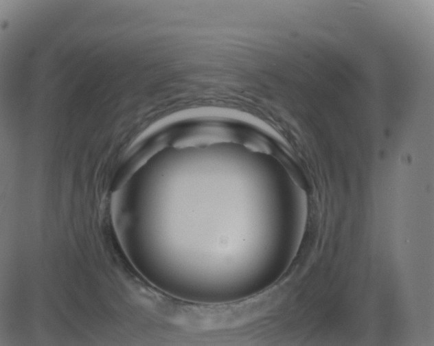 X0000081490033200701121521