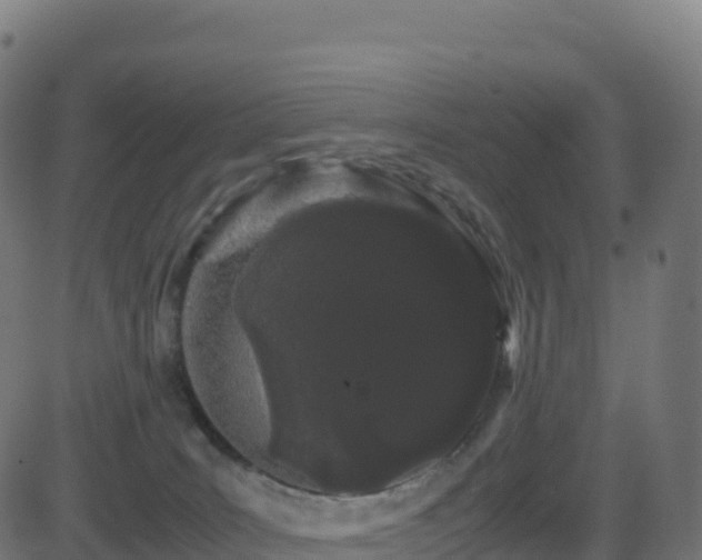 X0000081490035200701121521