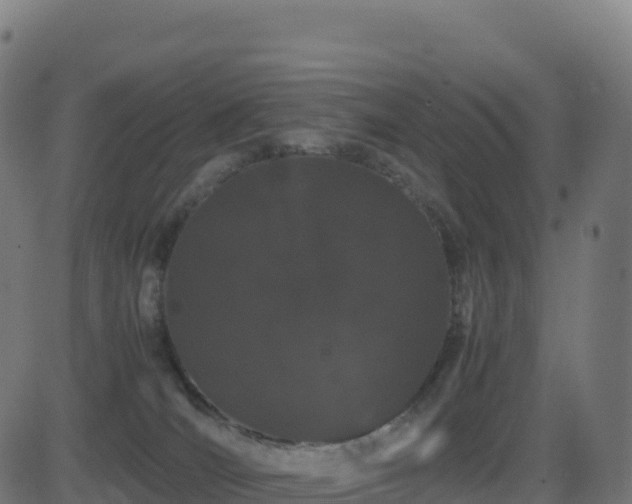 X0000081490036200701121521