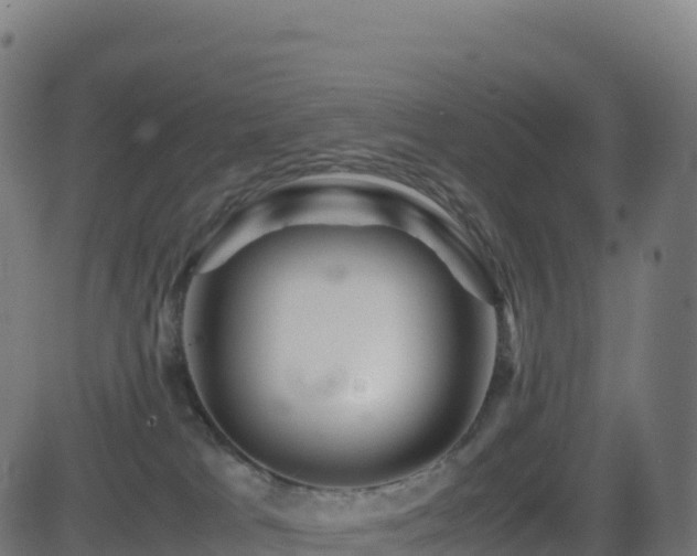 X0000081490037200701121521