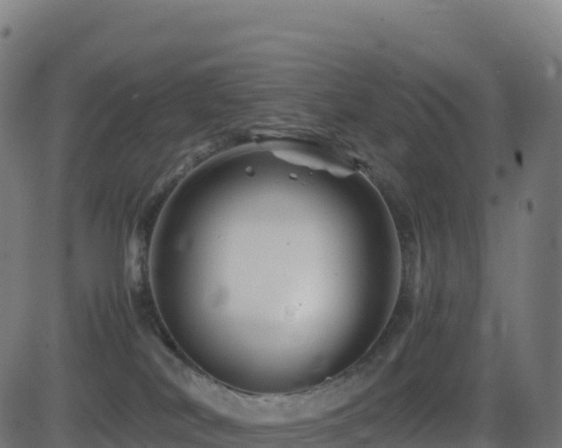 X0000081490038200701121521