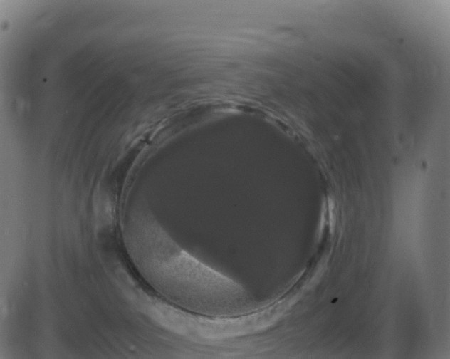 X0000081490039200701121521