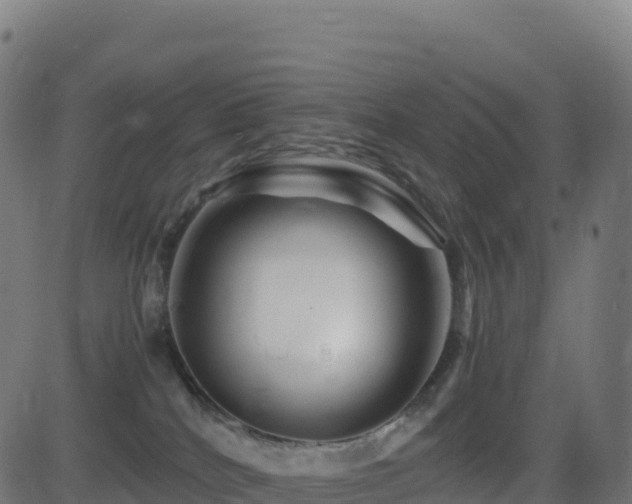 X0000081490040200701121521