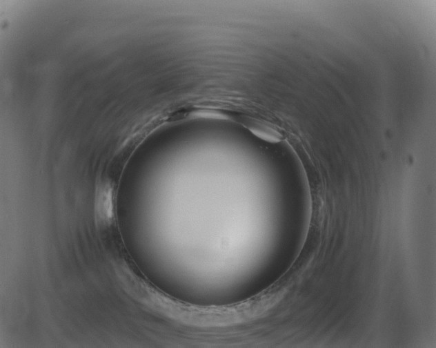 X0000081490042200701121521