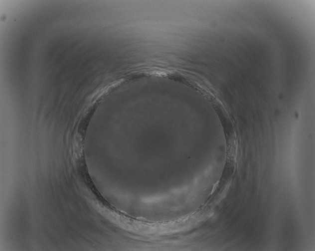 X0000081490043200701121521