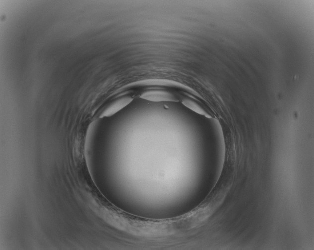 X0000081490044200701121521