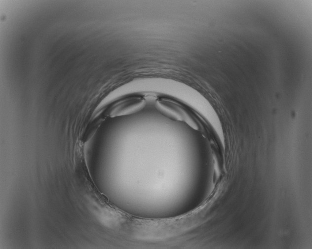 X0000081490045200701121521