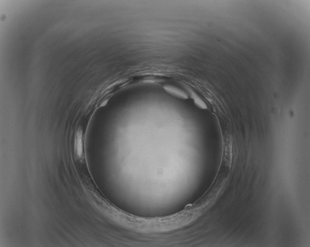 X0000081490046200701121521