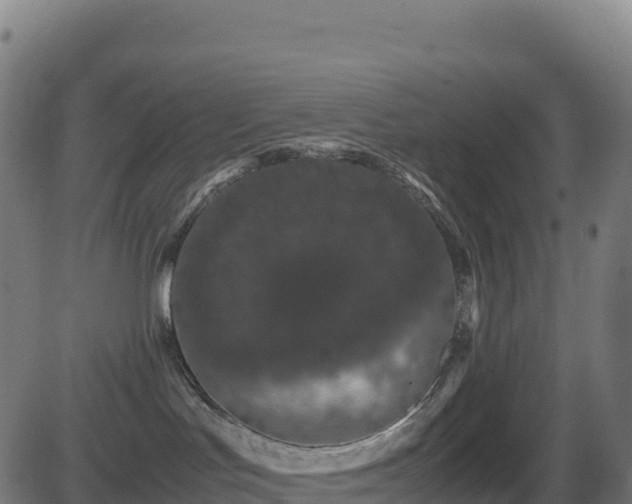 X0000081490047200701121521