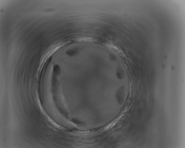 X0000081490049200701121520