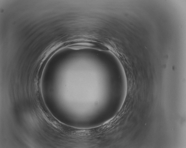 X0000081490050200701121520