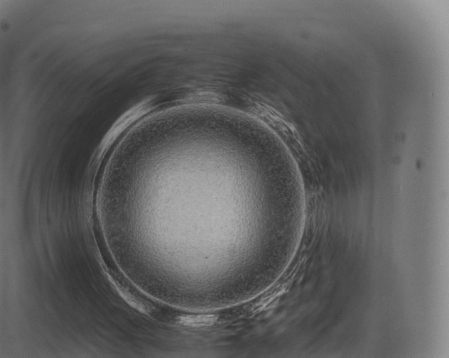 X0000081490051200701121520