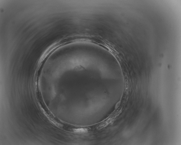 X0000081490053200701121520