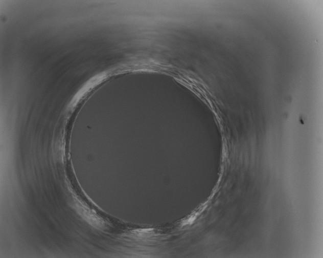 X0000081490054200701121520