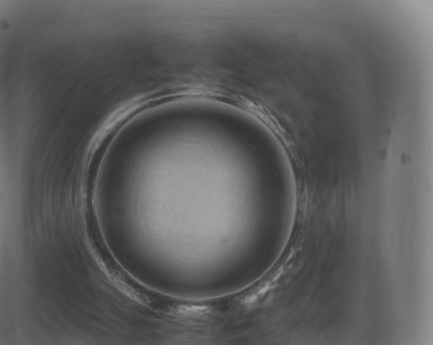 X0000081490055200701121520