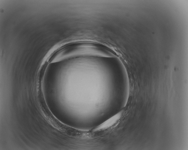 X0000081490056200701121520