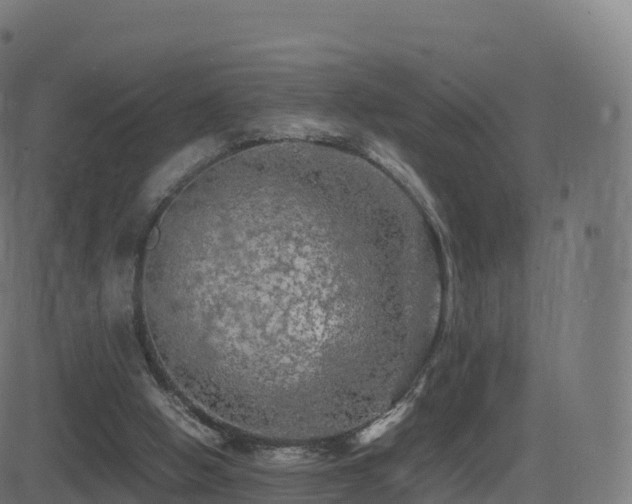 X0000081490058200701121520