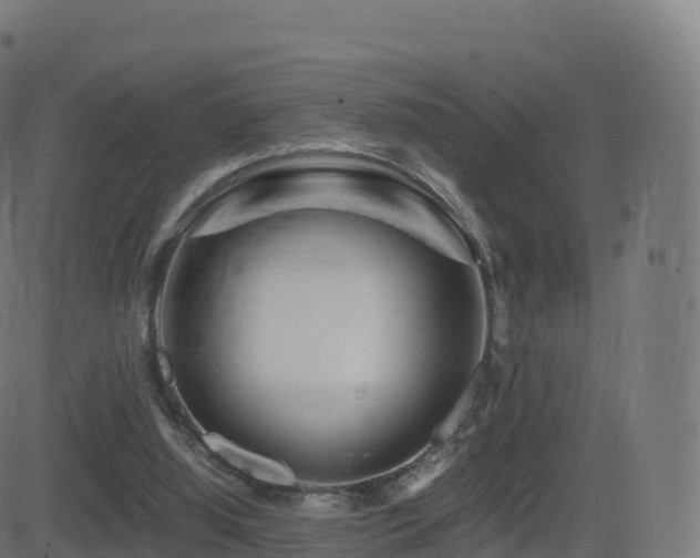 X0000081490060200701121520