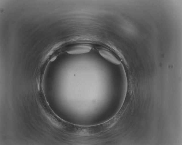 X0000081490062200701121520