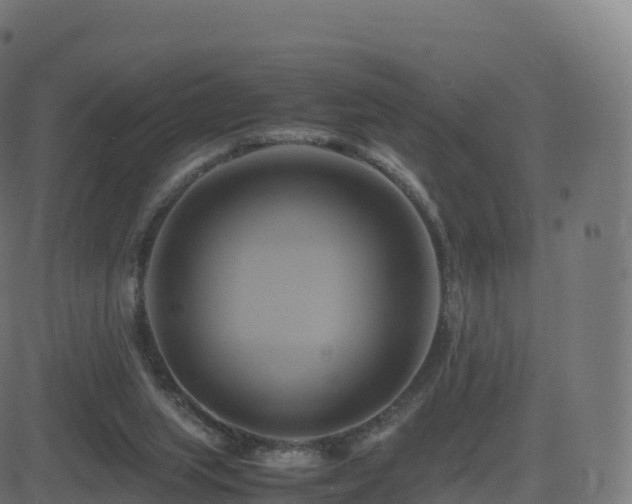 X0000081490063200701121520