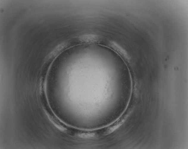 X0000081490065200701121520