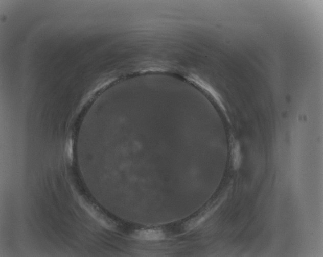 X0000081490067200701121520