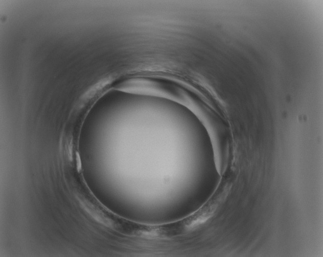 X0000081490068200701121520