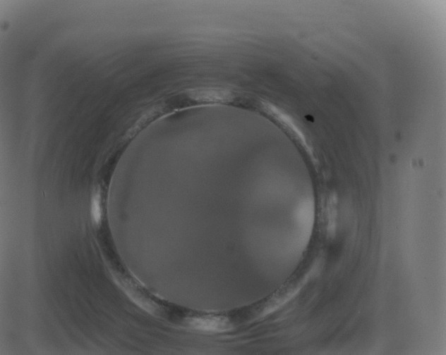 X0000081490069200701121520