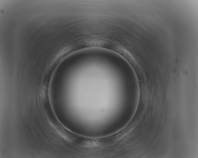 X0000081490071200701121521