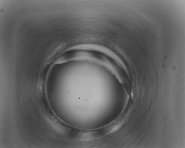 X0000081490072200701121521