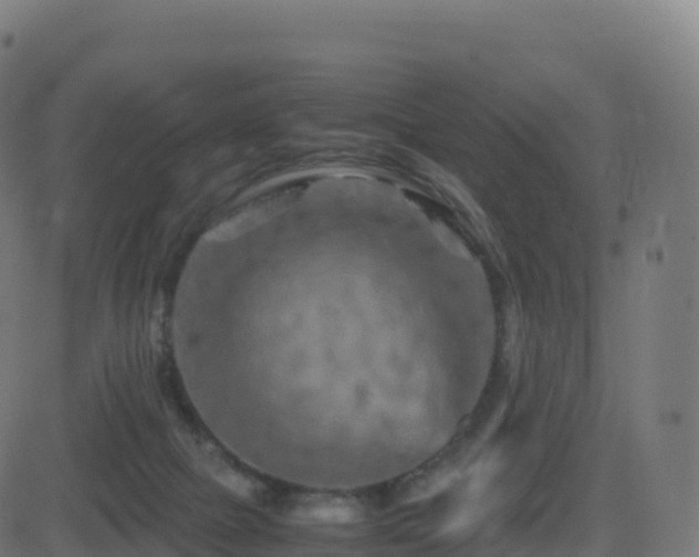 X0000081490073200701121521