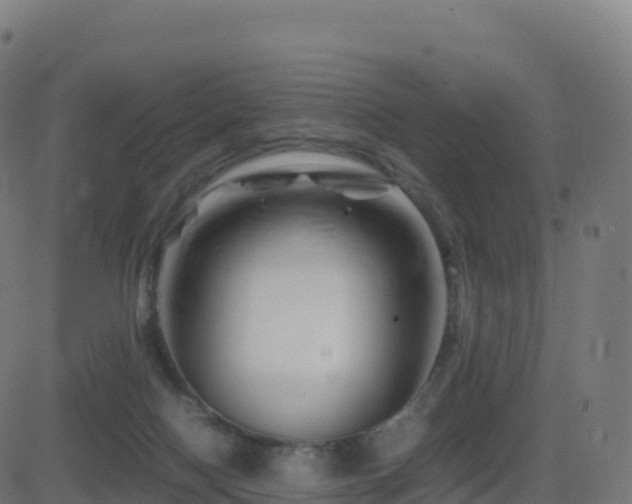 X0000081490074200701121521