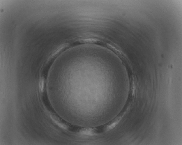 X0000081490076200701121521