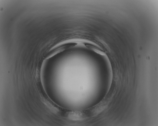 X0000081490077200701121521